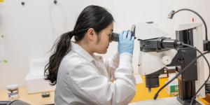 A student looks into a microscope.
