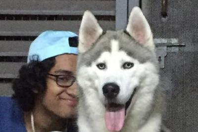 UBC Science Co-op Computer Science student Shreyas Goyal with a happy husky dog.