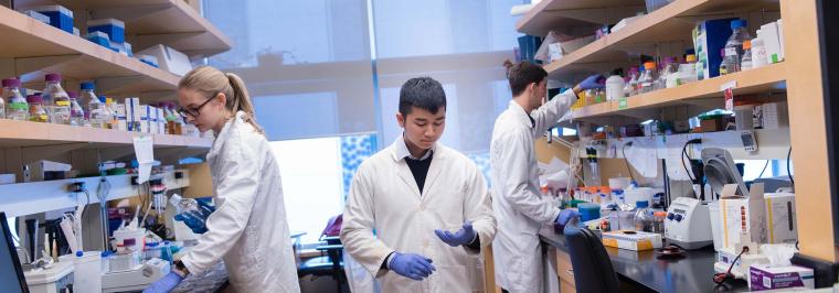 A student walks down a lab room.