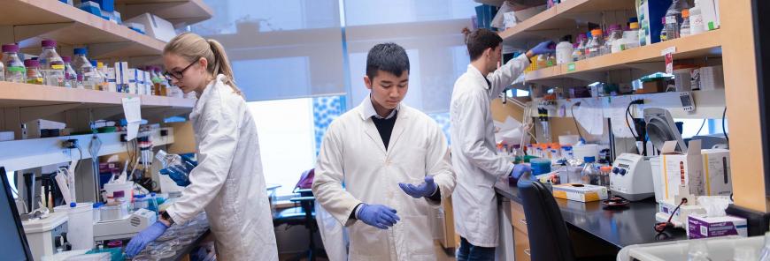 Biochemistry Co-op Students in a Lab Environment